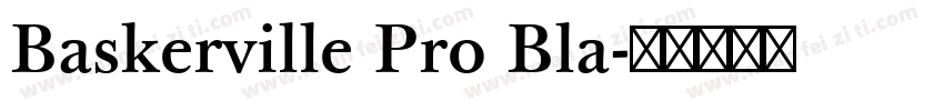 Baskerville Pro Bla字体转换
